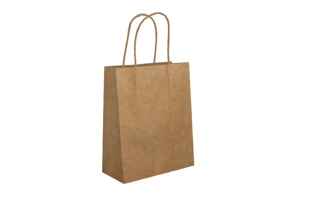 SAC A POIGNEES 24X11X32 NEUTRE (CARTON DE 200 UNITES)