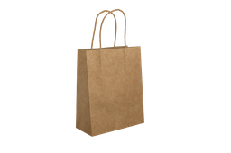 Sac à poignées (30*13*32) NEUTRE (Carton de 200 Sacs)